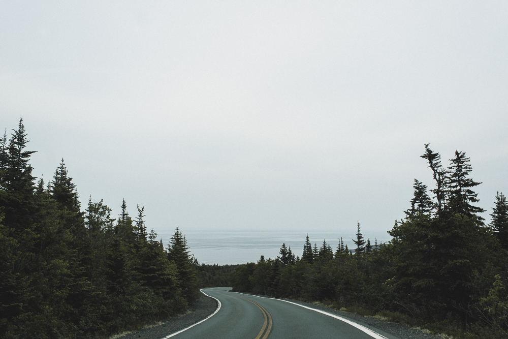 Newfoundland Elopement Jennifer moher Photography (50)