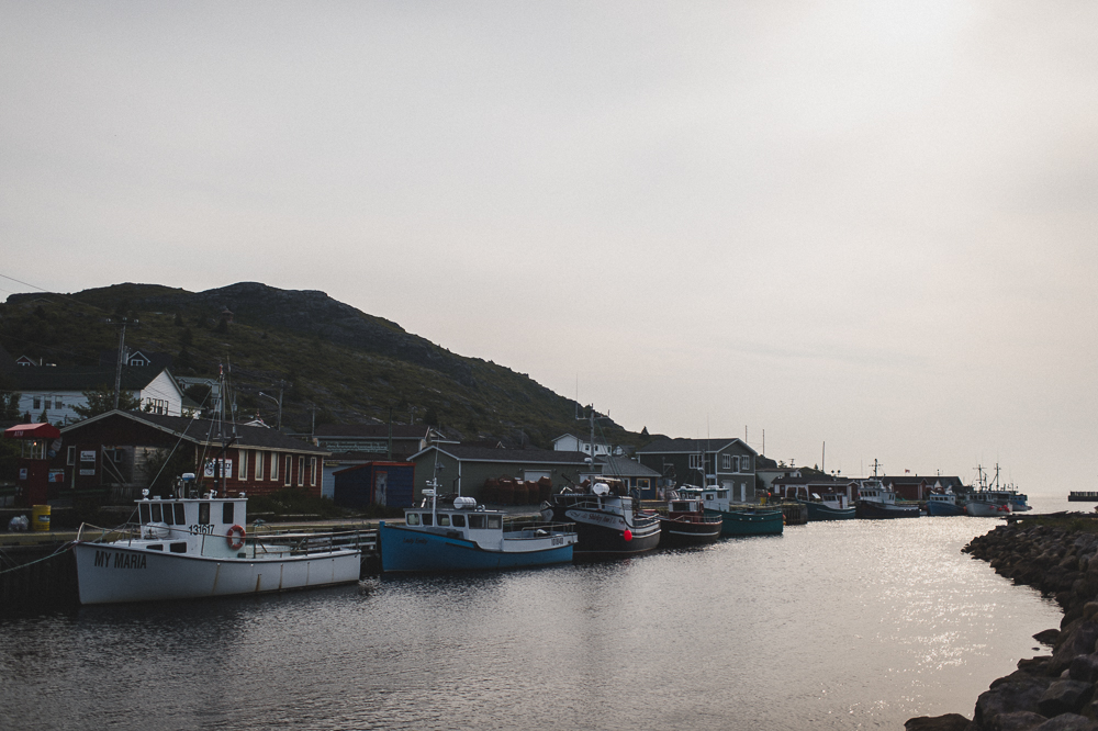 Newfoundland Elopement Jennifer moher Photography (7)