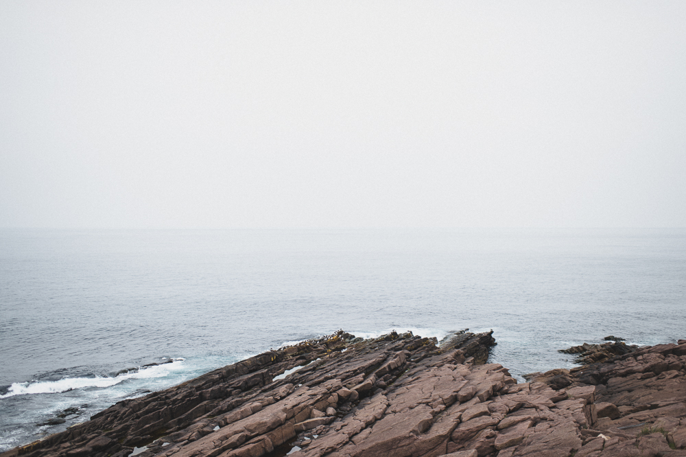 Newfoundland Elopement Jennifer moher Photography (87)